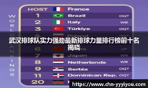 武汉排球队实力强劲最新排球力量排行榜前十名揭晓